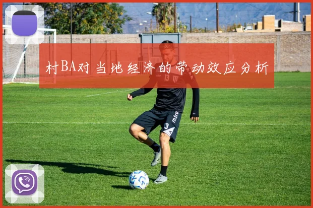 村BA对当地经济的带动效应分析
