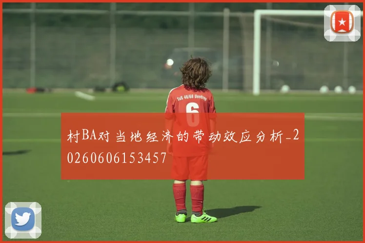村BA对当地经济的带动效应分析_20260606153457